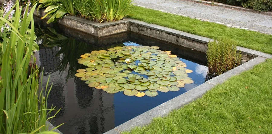 Banner giardino
